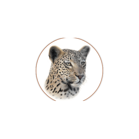 BIG CATS