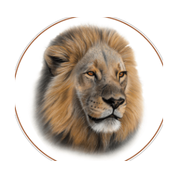 BIG CATS