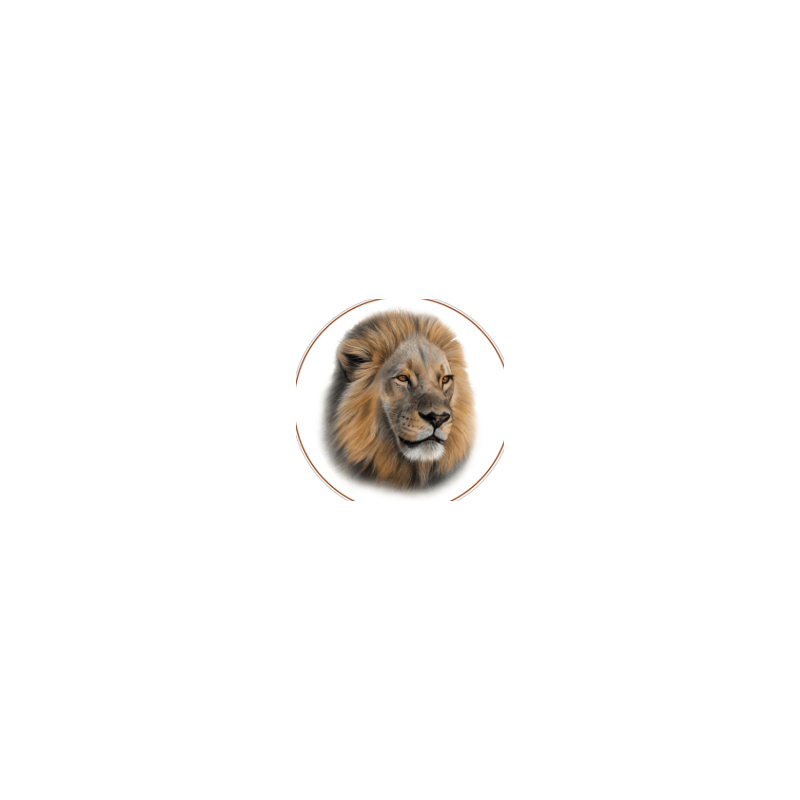 BIG CATS