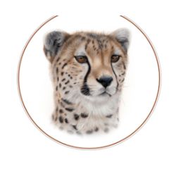 BIG CATS