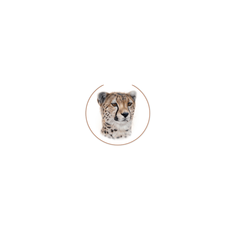 BIG CATS